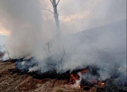 Brzom reakcijom spriječena katastrofa: Vatrogasci ugasili požar u Trnovu