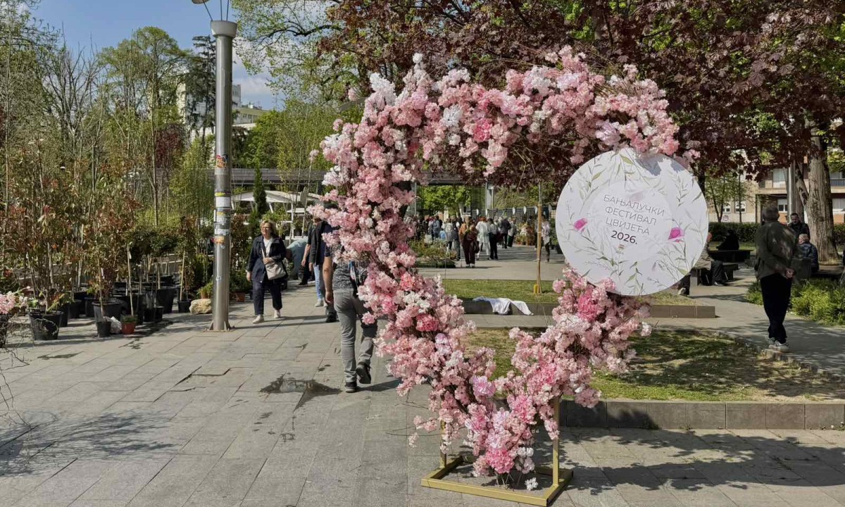 Muškatle ili petunije i po kojoj cijeni: Evo ponude i savjeta sa banjalučkog Festivala cvijeća FOTO
