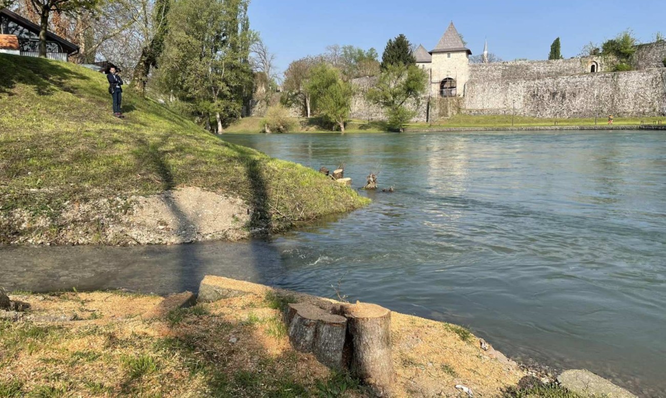Stanivuković se opet pravda za stabla: Odgovornost ćemo pokazati