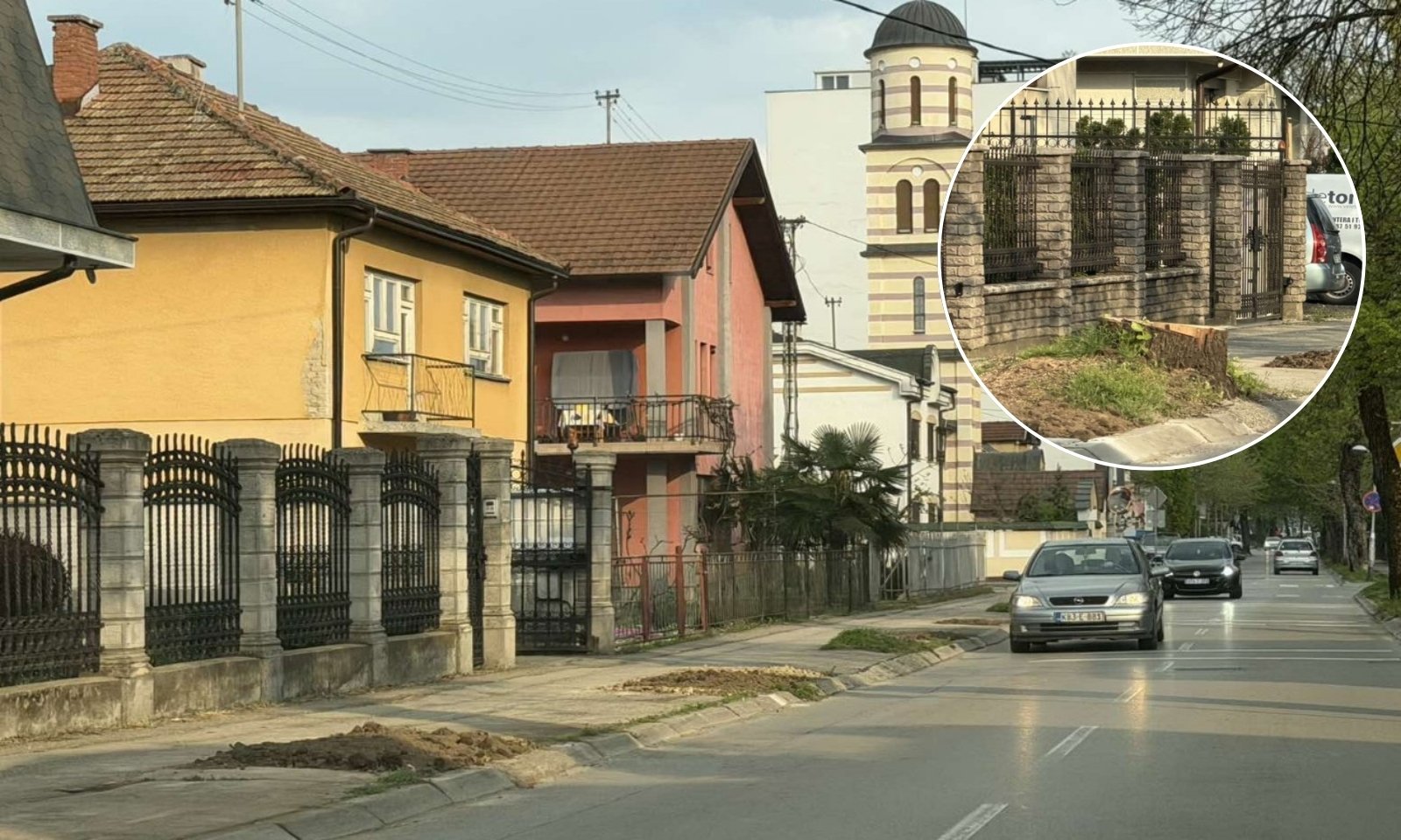 Reakcija Gradske uprave: Drvored ranije devastiran, pripremamo novu sadnju