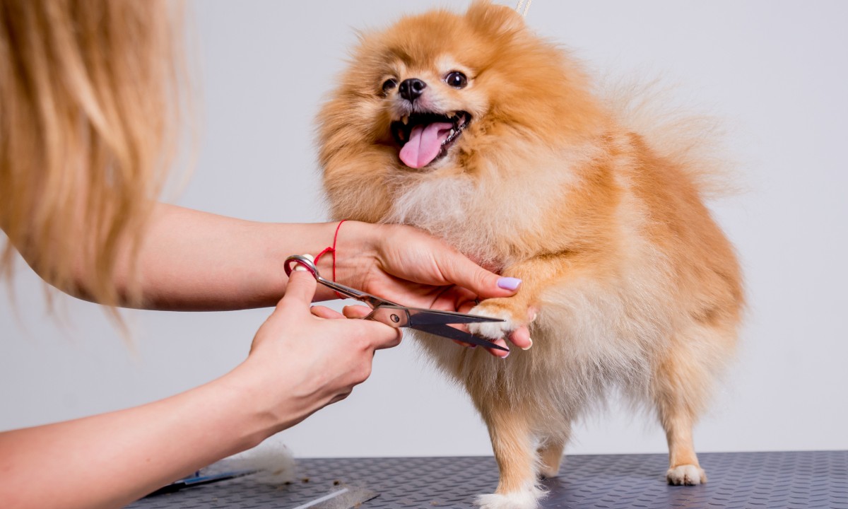 Prekvalifikacija kao druga šansa: Nikad ne biste pogodili šta je najtraženije u Banjaluci FOTO