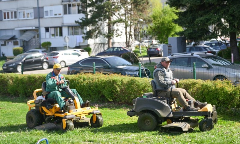 Ekipe na terenu: Uređivanje zelenih površina u Banjaluci