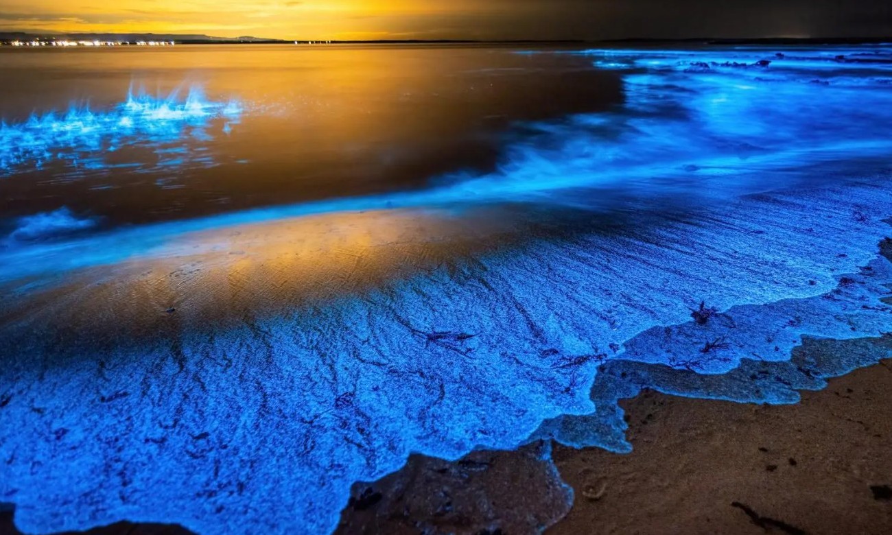 Fenomen u noćnim satima: Ostrvo na Maldivima na kojem more sija