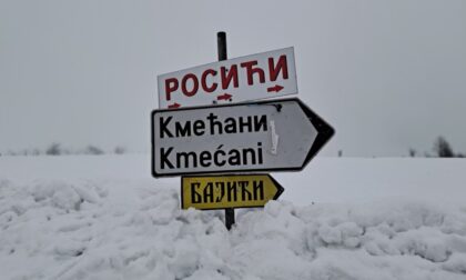 Naslovna slika br 11