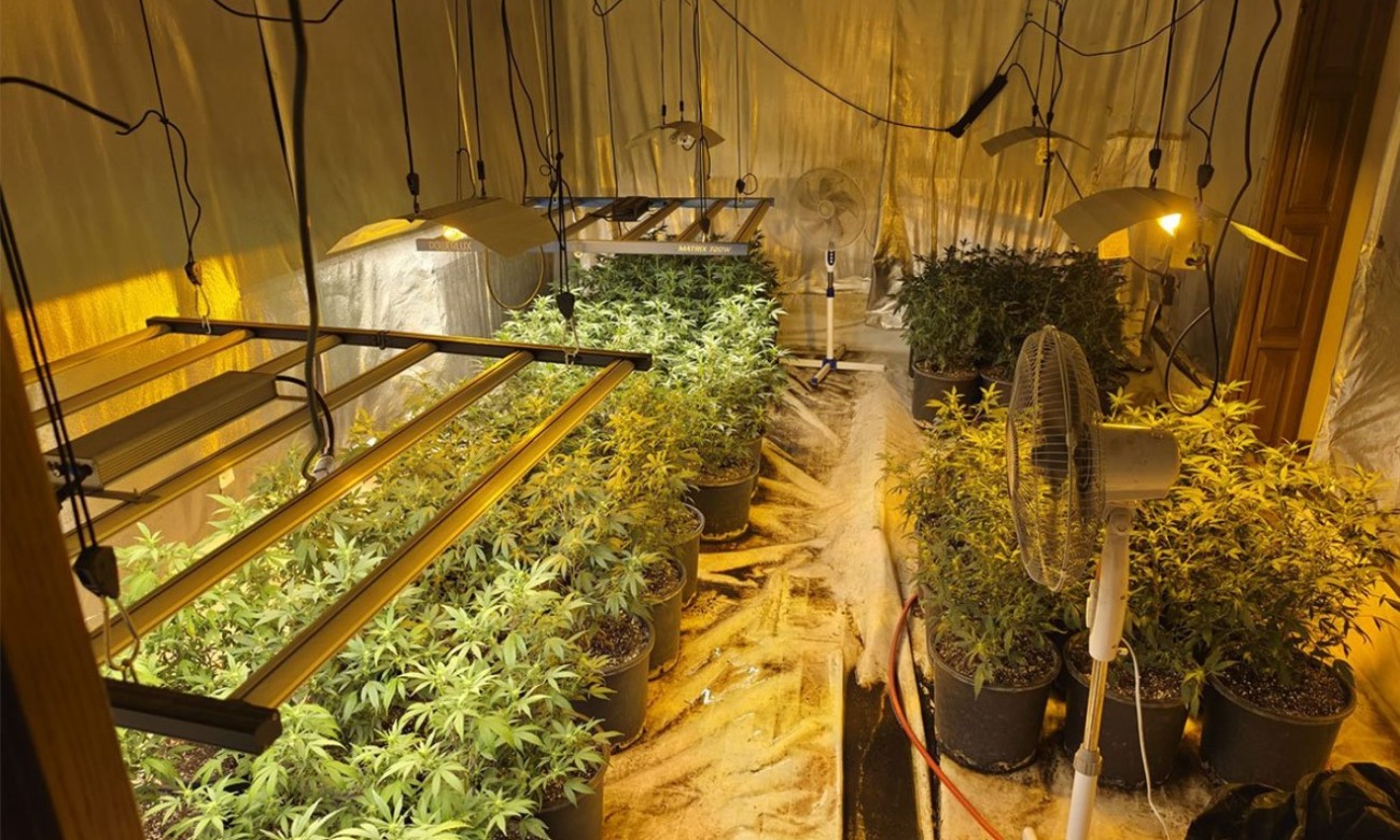 Otkrivena mreža proizvodnje marihuane: Pred tužiocem uhapšena u akciji “Aries”