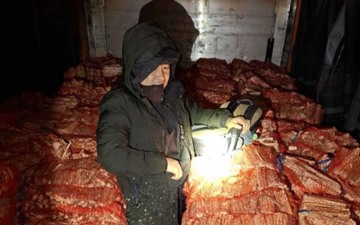 Drama na granici: U kamionu među drvima pronađeno 38 migranata VIDEO