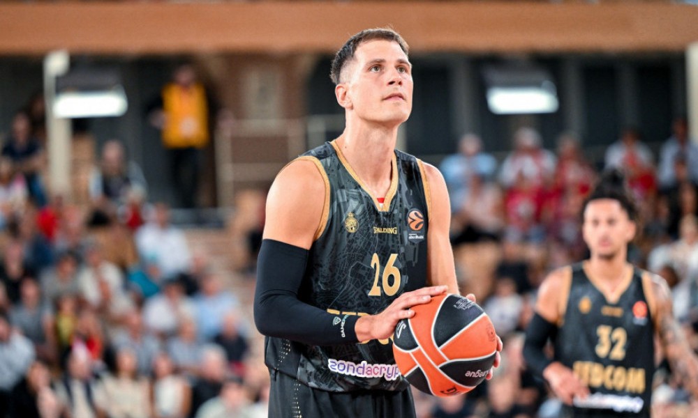 Naslovna slika br 42