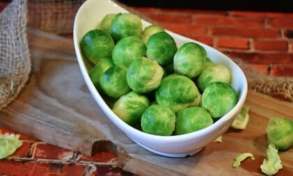 Naslovna slika br 38