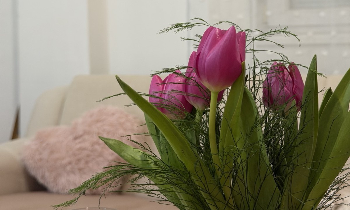 Neće uvenuti nakon dva dana: Trikovi za njegu tulipana u vazi