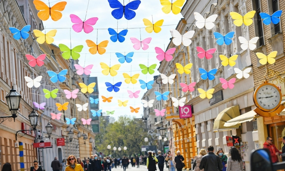 Svjetleći leptiri i veliko srce: Ovo je cijena za ukrašavanje Gospodske FOTO