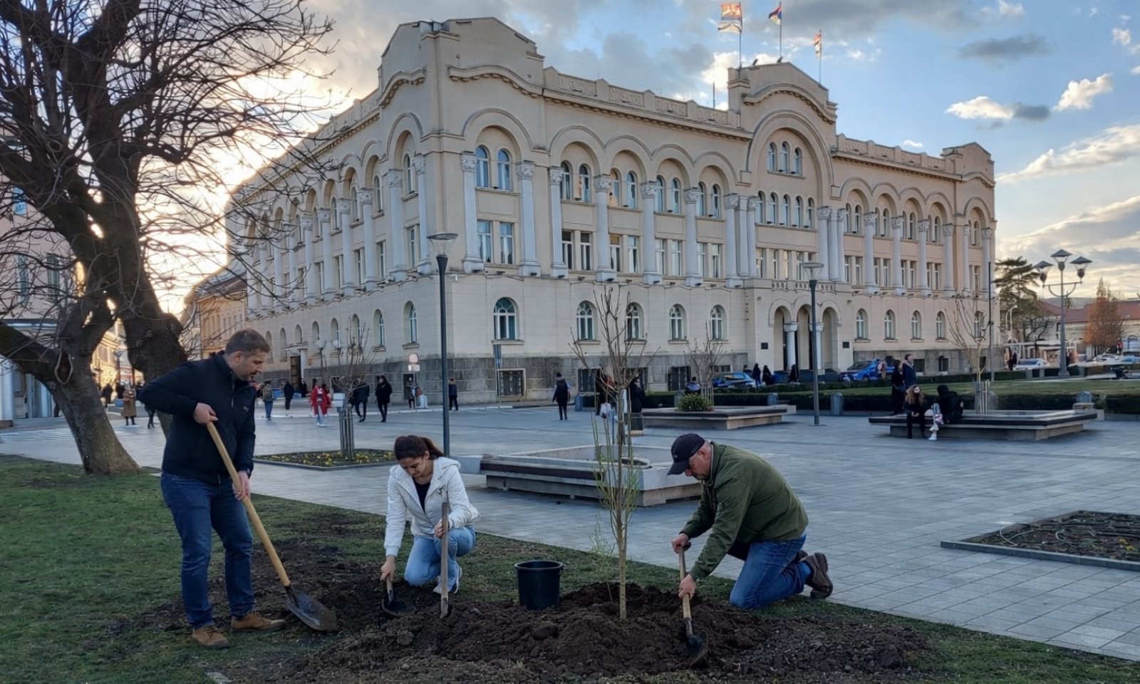 Banjaluka daje skoro 300.000 KM za sadnju novog drveća: Poznato ko je dobio posao