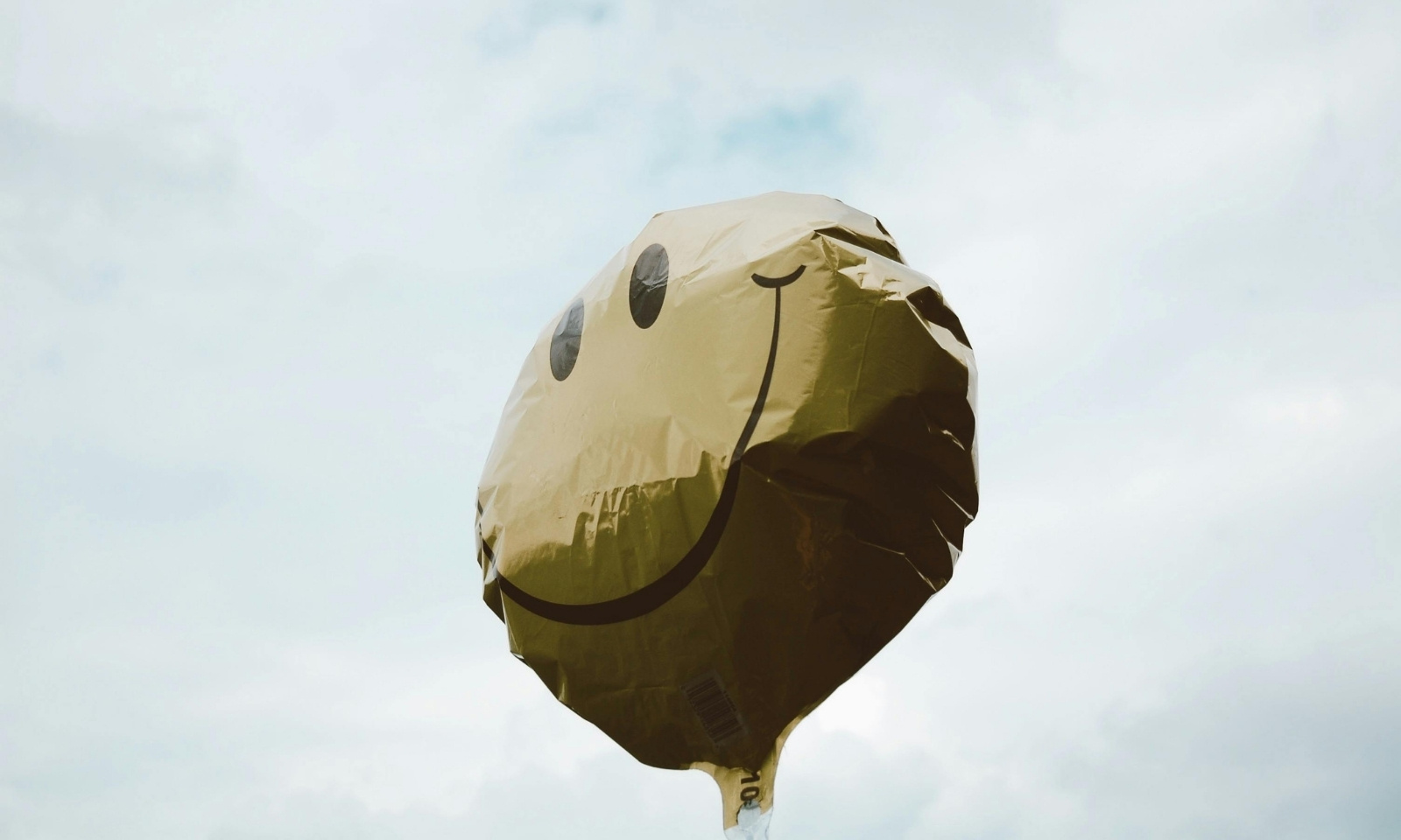 Dnevna doza humora: Razgovor za posao