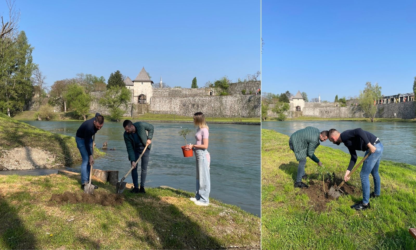 Mladi zasadili šest vrba uz Vrbas: Nakon sječe 25 stabala traži se odgovornost FOTO, VIDEO