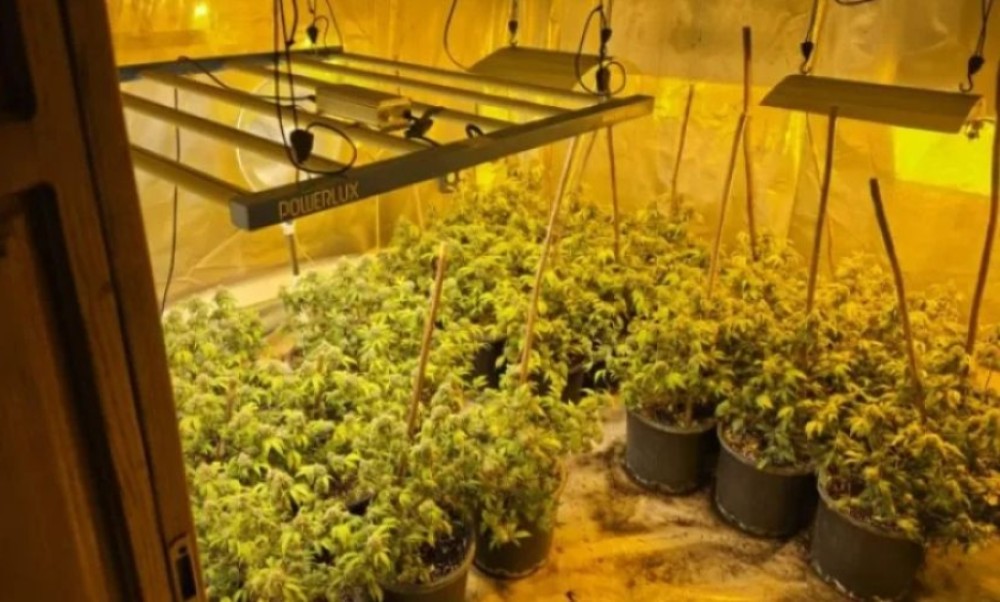 Akcija “Aries”: Bivša kandidatkinja DF-a proizvodila drogu u pet laboratorija