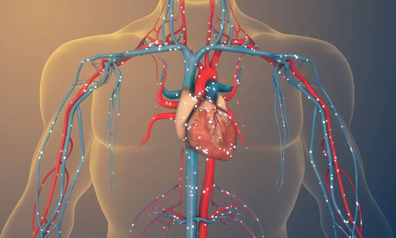 Predijabetes i povišen puls u mirovanju: Upozoravajući signali koje ne smijemo ignorisati