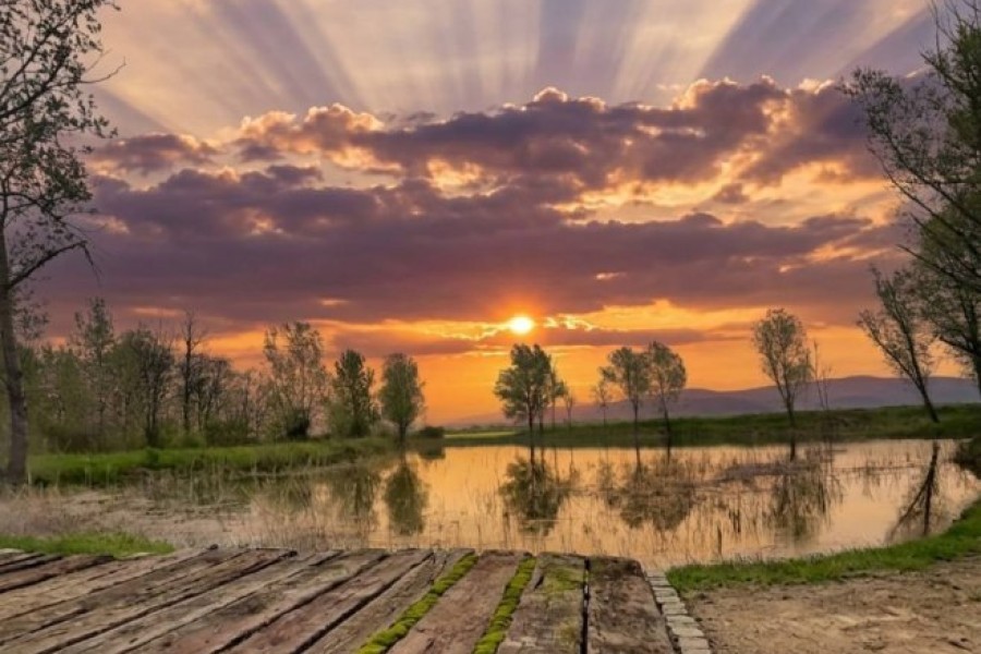 Nekadašnji biser panonske ravnice: Kako vratiti Bardači stari sjaj ?
