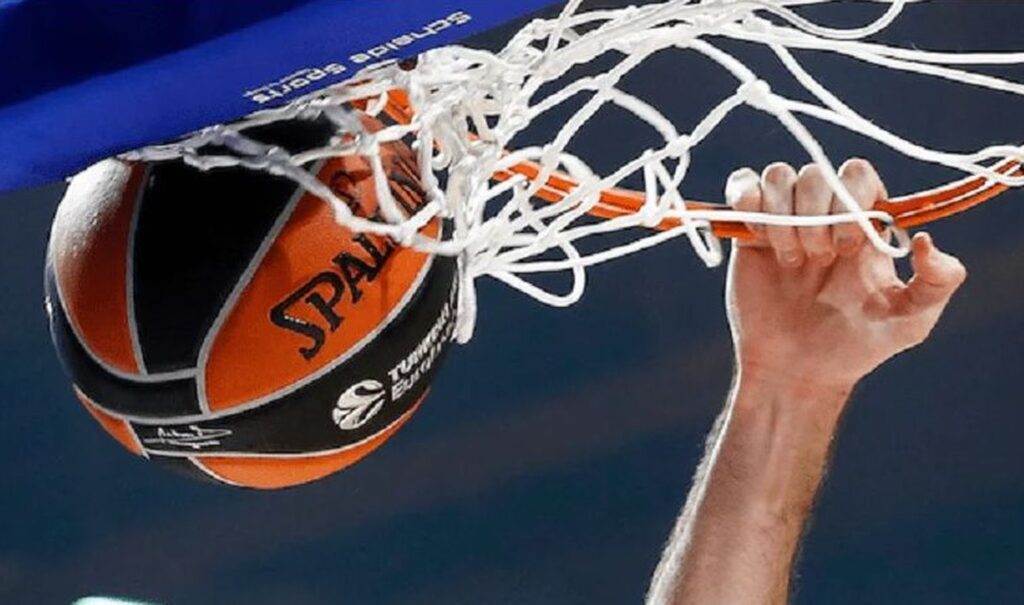 Naslovna slika br 43