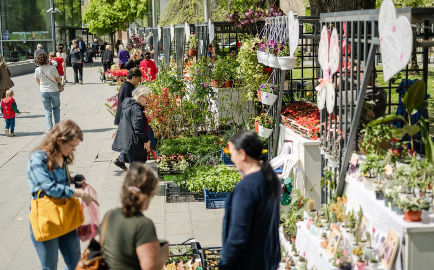 Posjetite Festival cvijeća u Banjaluci: Danas i sutra u Parku „Petar Kočić“