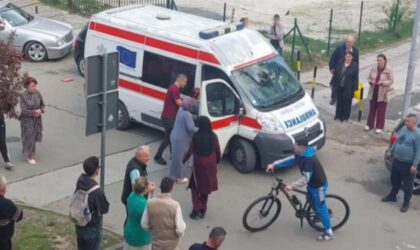 Naslovna slika br 13