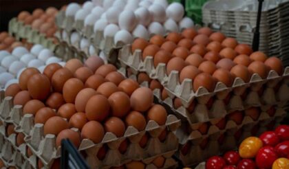 Naslovna slika br 59