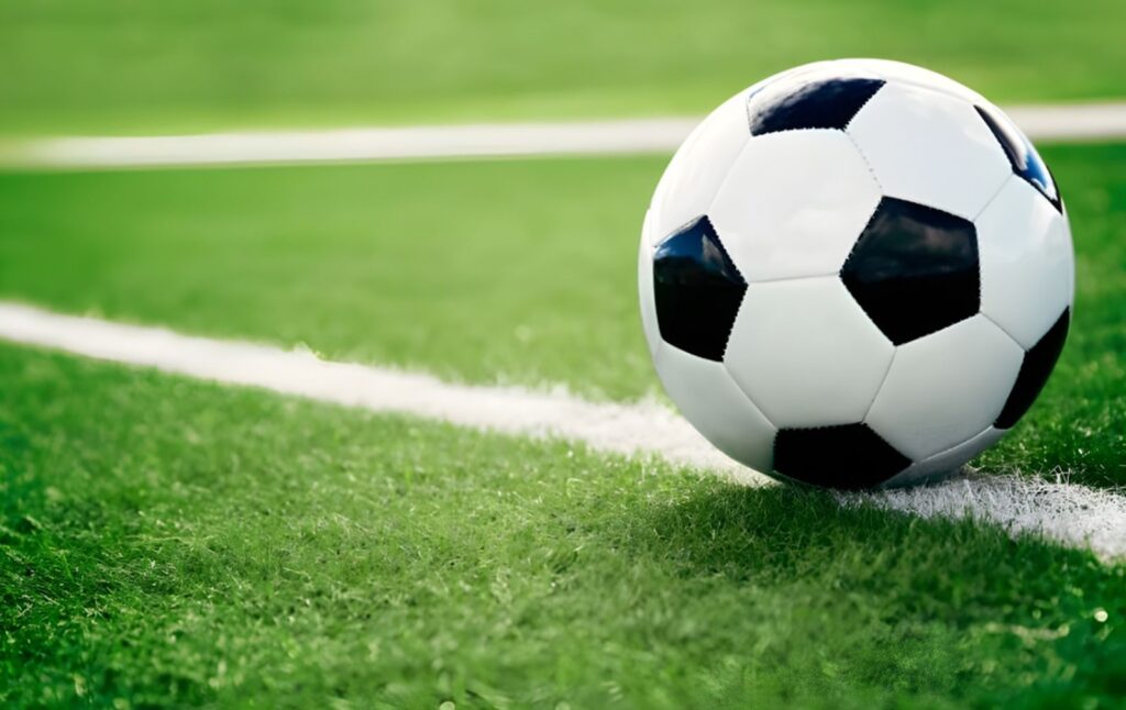 Naslovna slika br 42