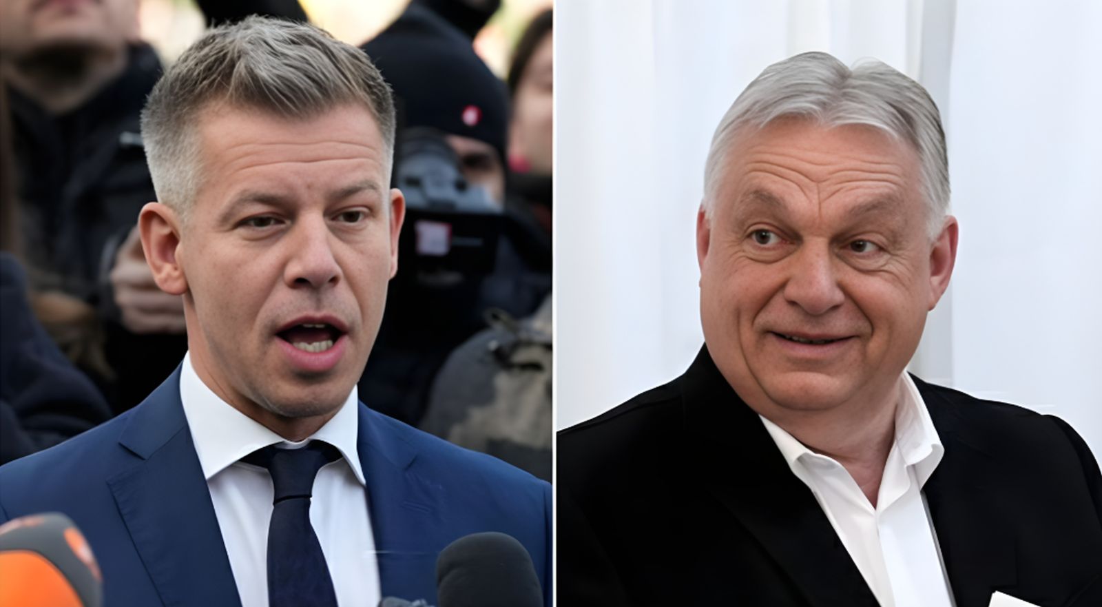 Peter Mađar: “Orban bi trebao biti predsjednik Evropske komisije, ima viziju i ima čvrstu, rigidnu politiku”