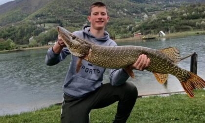 Naslovna slika br 57