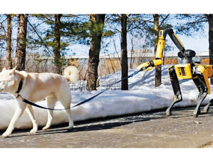 Naslovna slika br 25