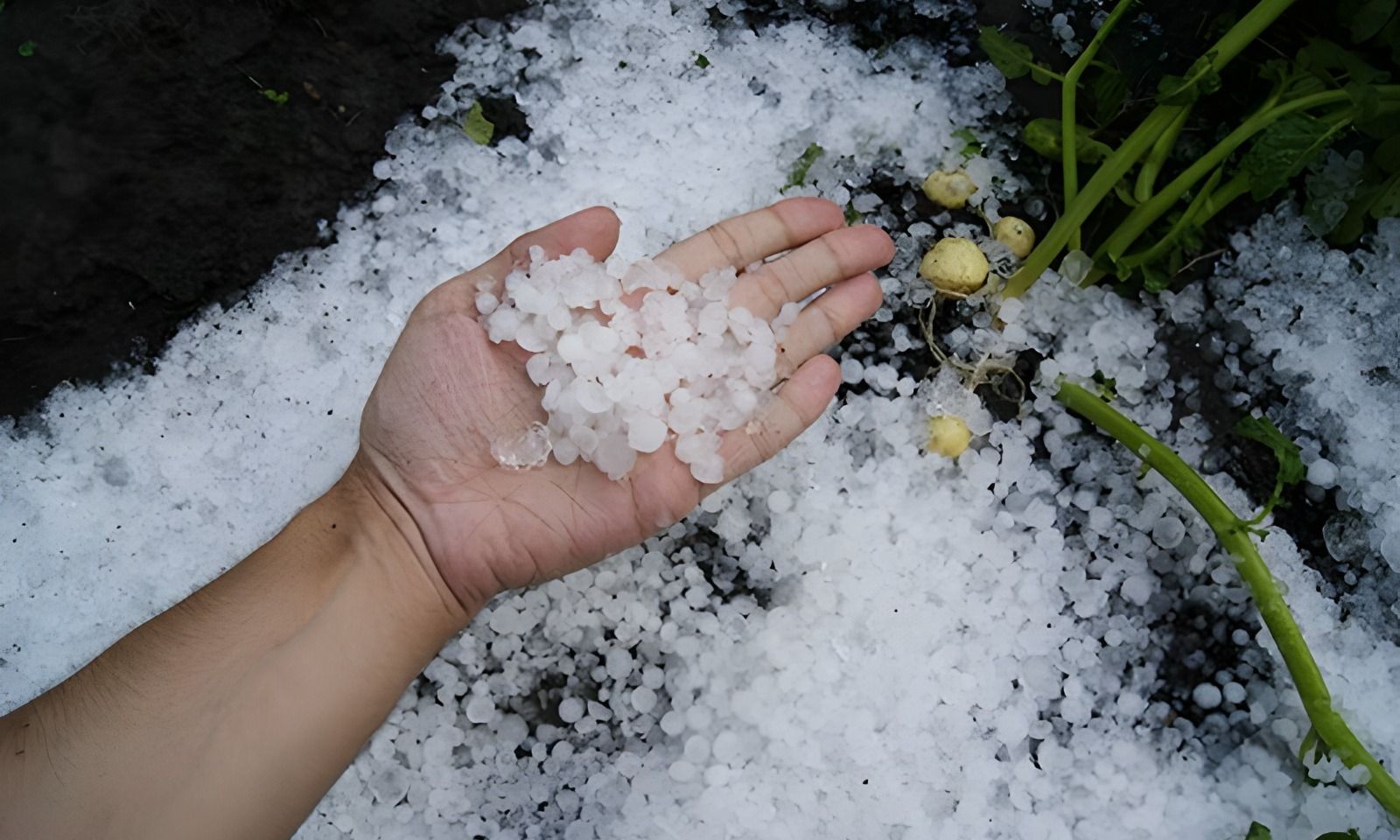 Nevrijeme u regionu: Kiša i grad pogodili Sloveniju i Hrvatsku FOTO