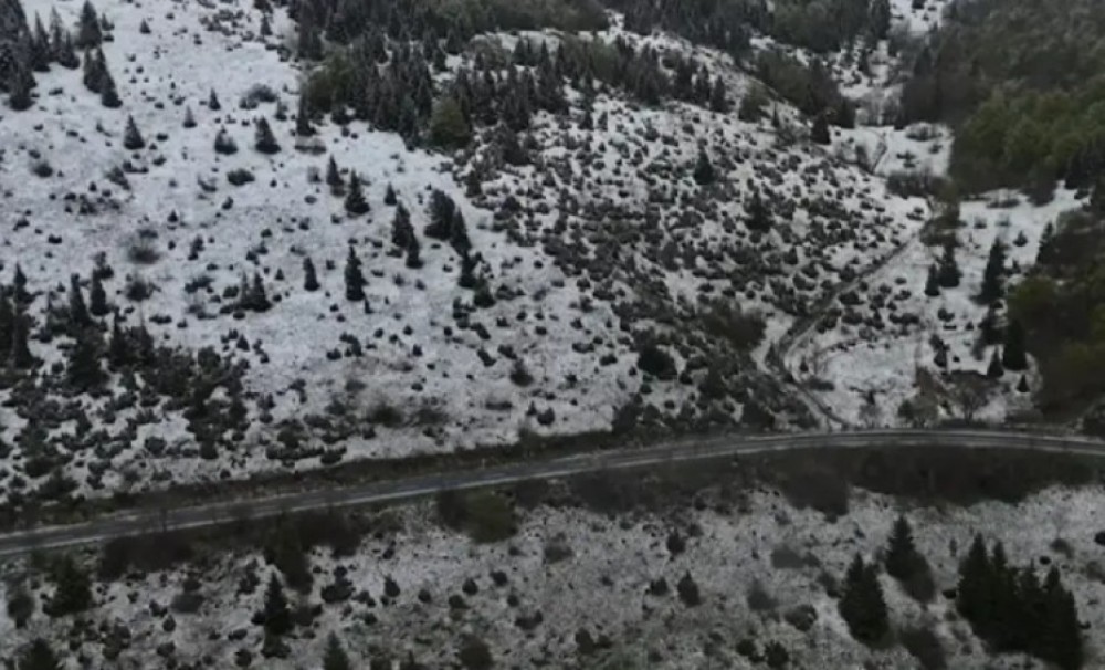 Zabijelilo pred Prvi maj: Ispred mesnice redovi, a u BiH pao snijeg VIDEO