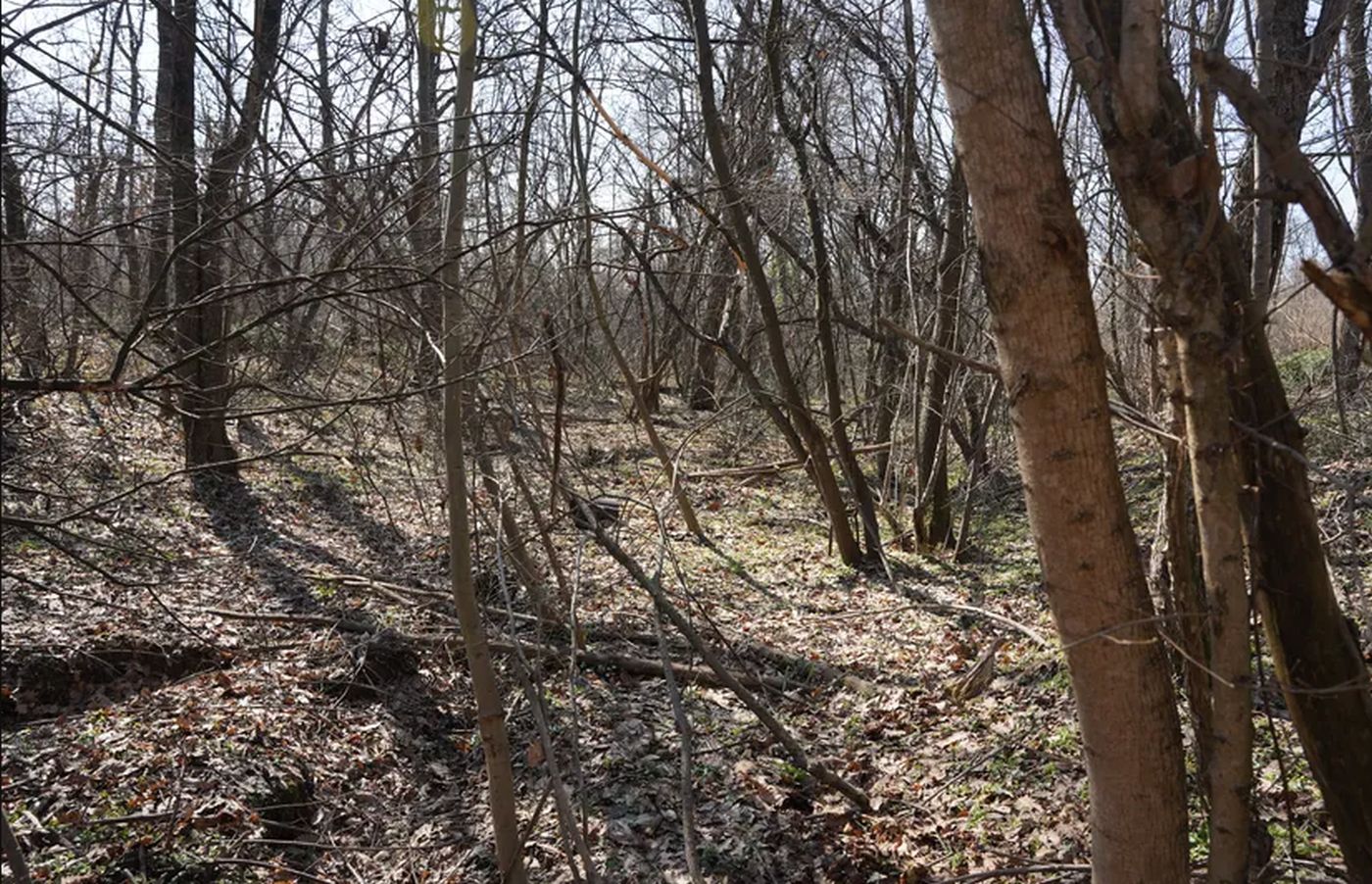 Misterija na Fruškoj gori: Niko ne zna šta je ovo, merdevine vode u dubok ambis VIDEO