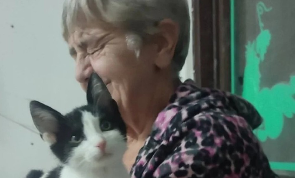 Osam maca čeka dom: Nastavljena plemenita misija Vahdete Dade Gunić