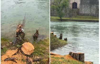 Naslovna slika br 10