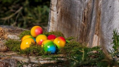 Naslovna slika br 20