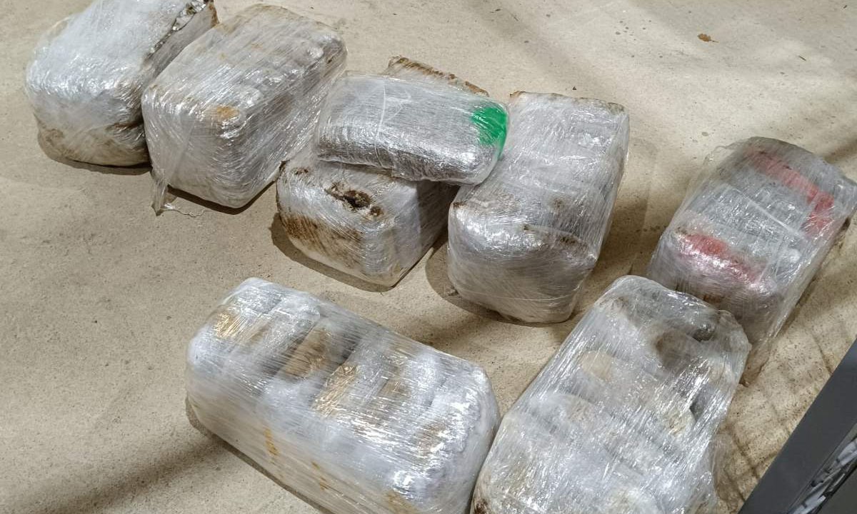 Droga u kamionskom bunkeru: Zaplijenjeno 124 kilograma marihuane FOTO