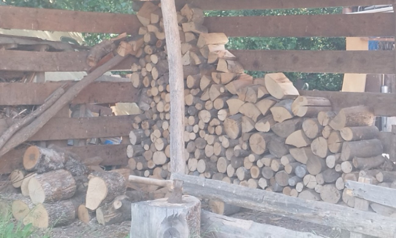 Bukva, grab, hrast ili bagrem? Stručnjaci otkrivaju koja drva najbolje griju tokom zime