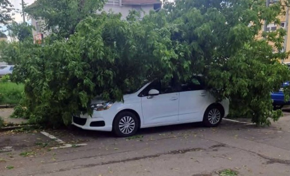 Drvo završilo na vozilu: Jak vjetar napravio problem u Banjaluci