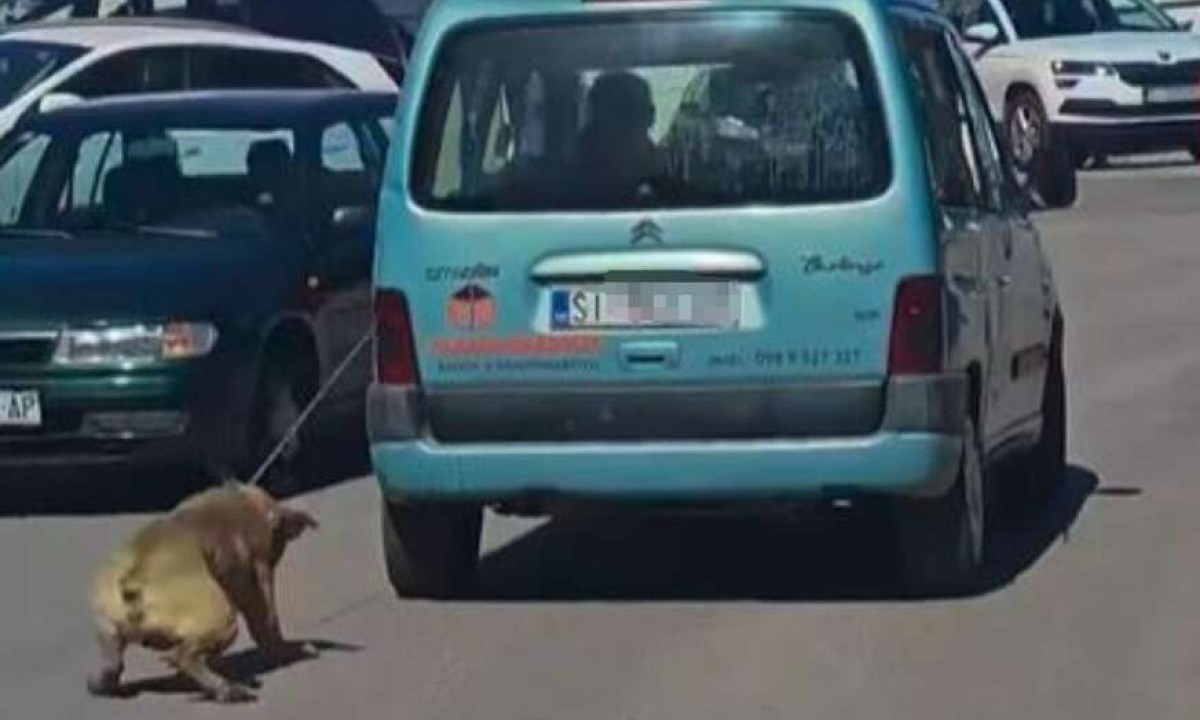 Uznemirujući snimak iz Šibenika: Pas zavezan za automobil dok ga vozilo vuče VIDEO