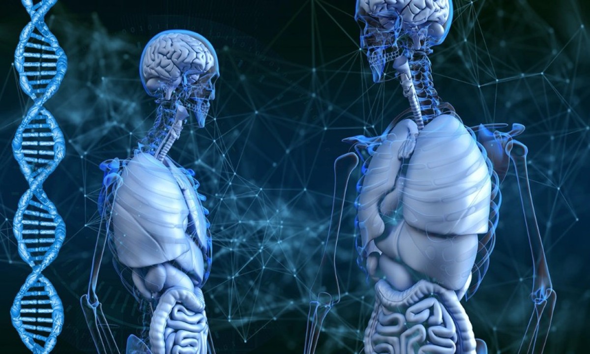 Naučna revolucija u Japanu: Roboti preuzeli medicinska istraživanja u laboratoriji