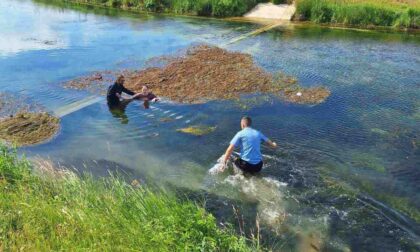 Naslovna slika br 3