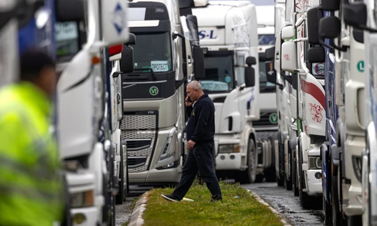Velika olakšica za vozače: Cijena CEMT dozvola pada sa 500 na 100 KM