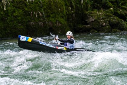Naslovna slika br 20