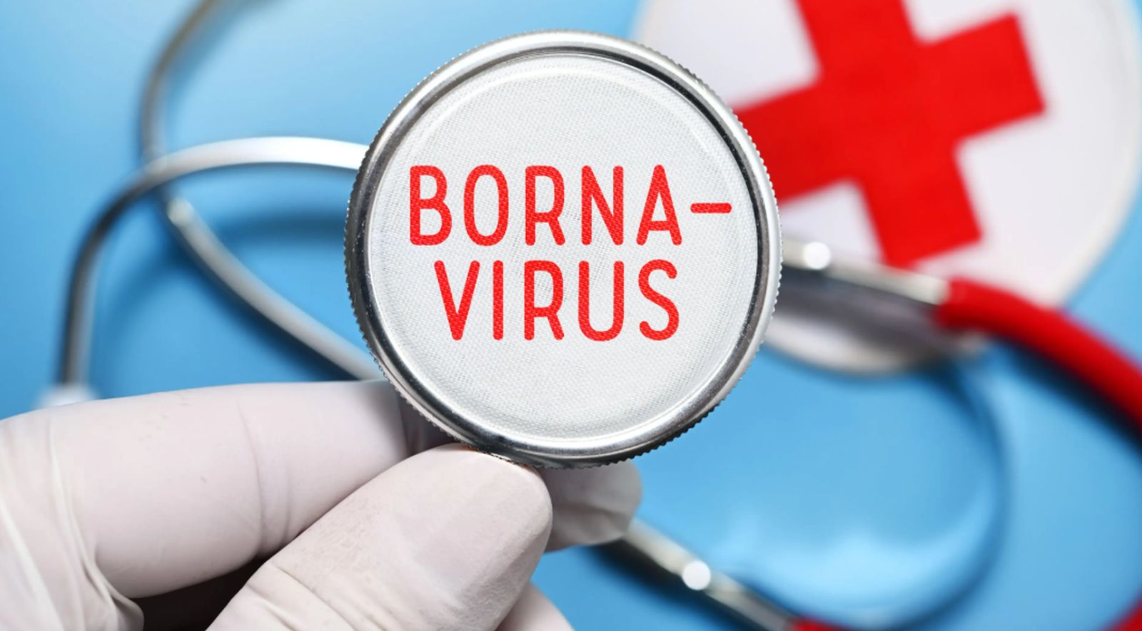 Uzbuna u Njemačkoj: Pojavio se rijedak virus od kojeg većina oboljelih ne preživi