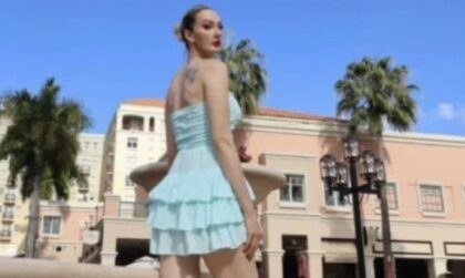 Naslovna slika br 31