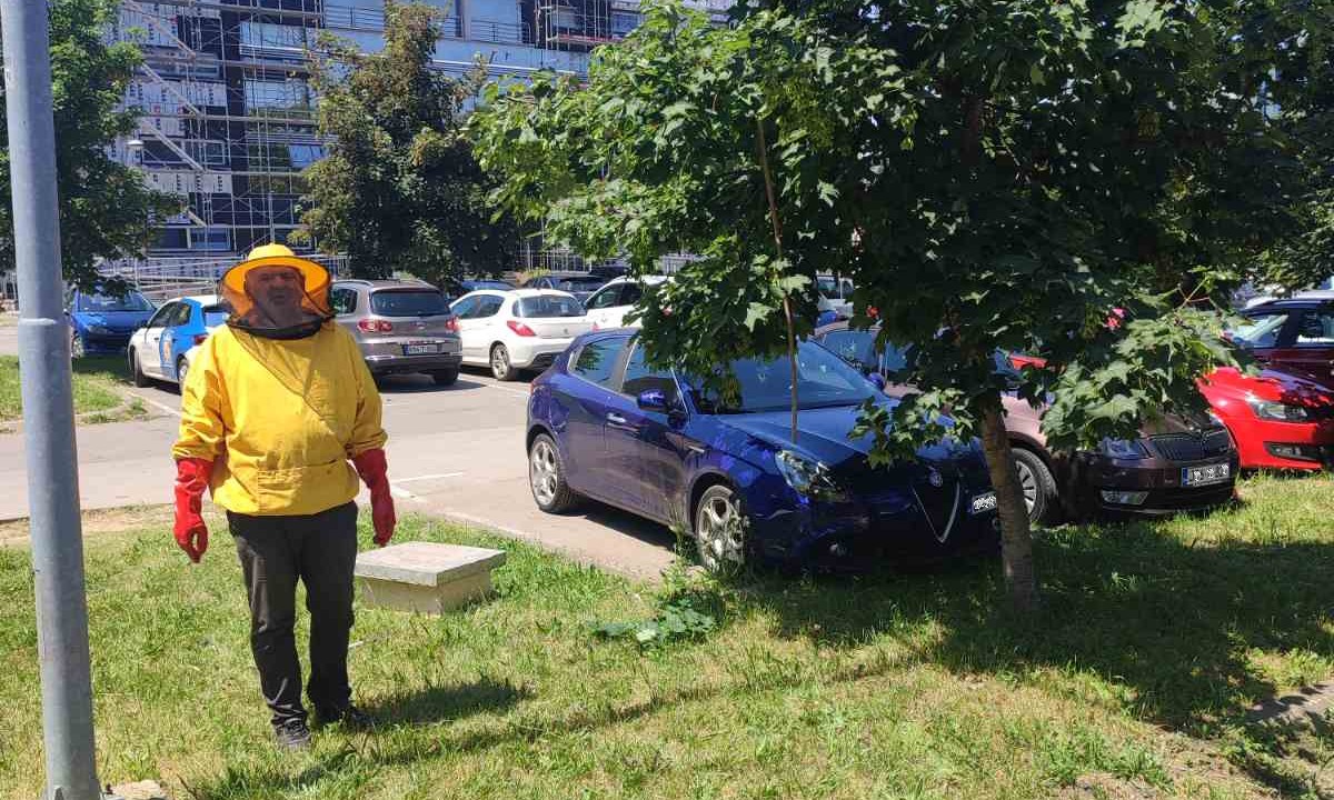 Đakovići u akciji spasavanja! Šta kad usred grada ugledate roj pčela FOTO