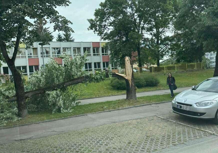 Intervenisali vatrogasci: Palo drvo u blizini osnovne škole u Banjaluci FOTO