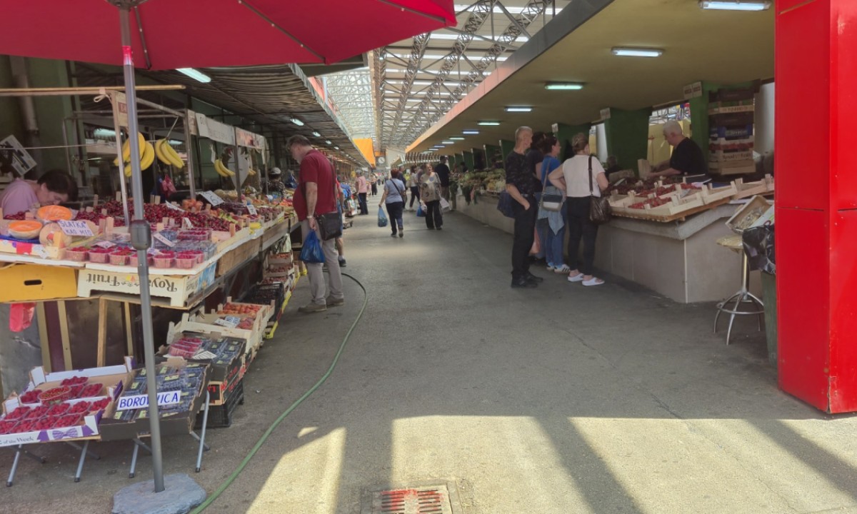 Odlične za imunitet, loše za novčanik: Maline i borovnice na povelikoj cijeni FOTO