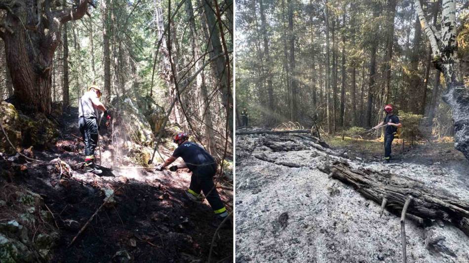 Požar na granici Srbije i Crne Gore: Gori četinarska šuma, vatrogasci se bore sa vatrenom stihijom