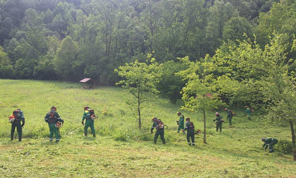 Košenje se nastavlja: Na redu Lauš i Starčevica, pogledajte kakav je dalji plan