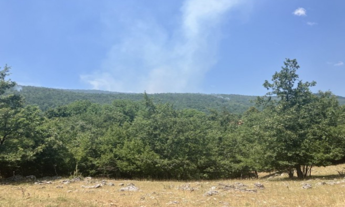 Kiša pomogla gašenju požara kod Drvara: Nove informacije o stanju u Kamenici